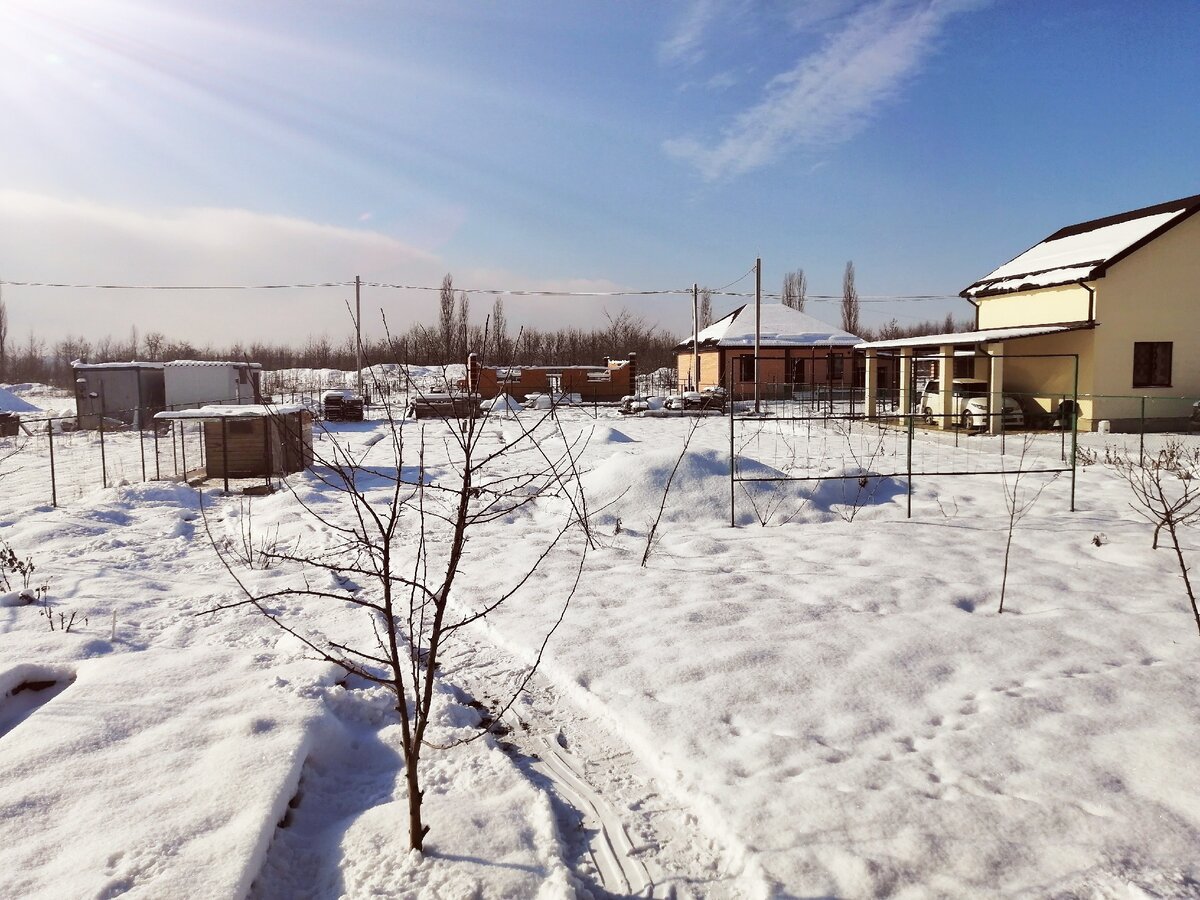 январь Кубань