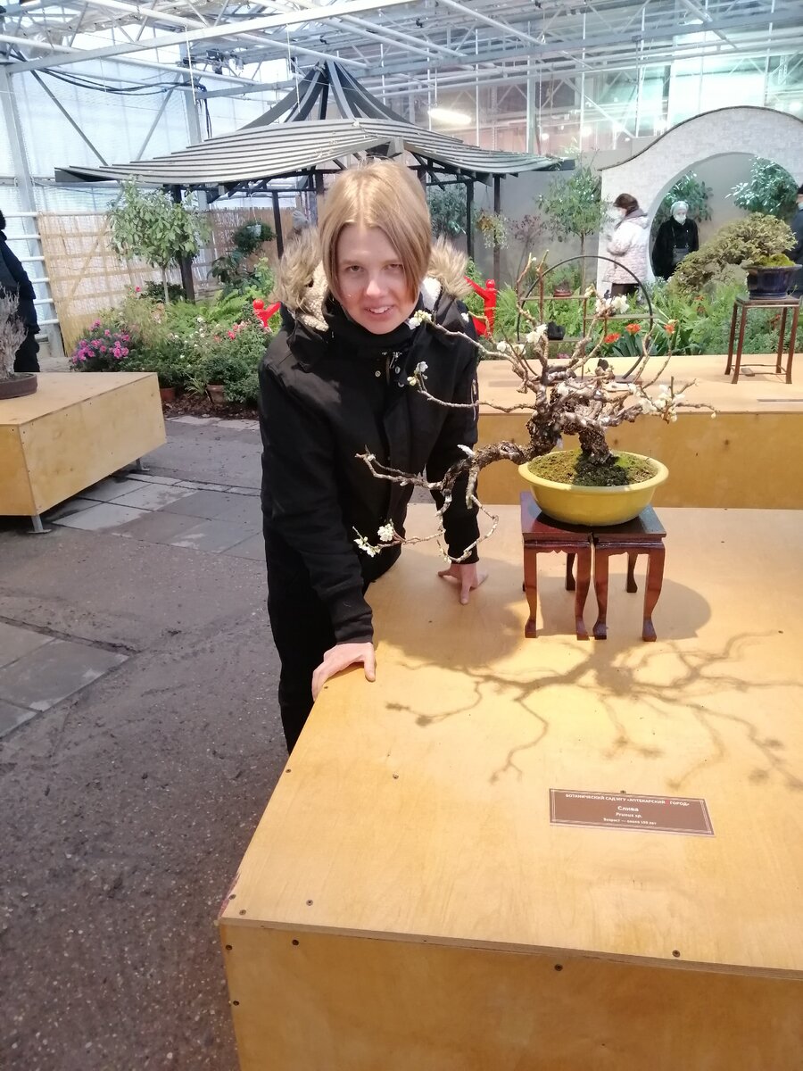 Я и мини-слива