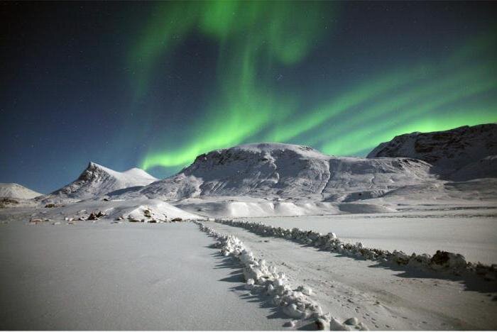 Фотография :  pikabu.ru