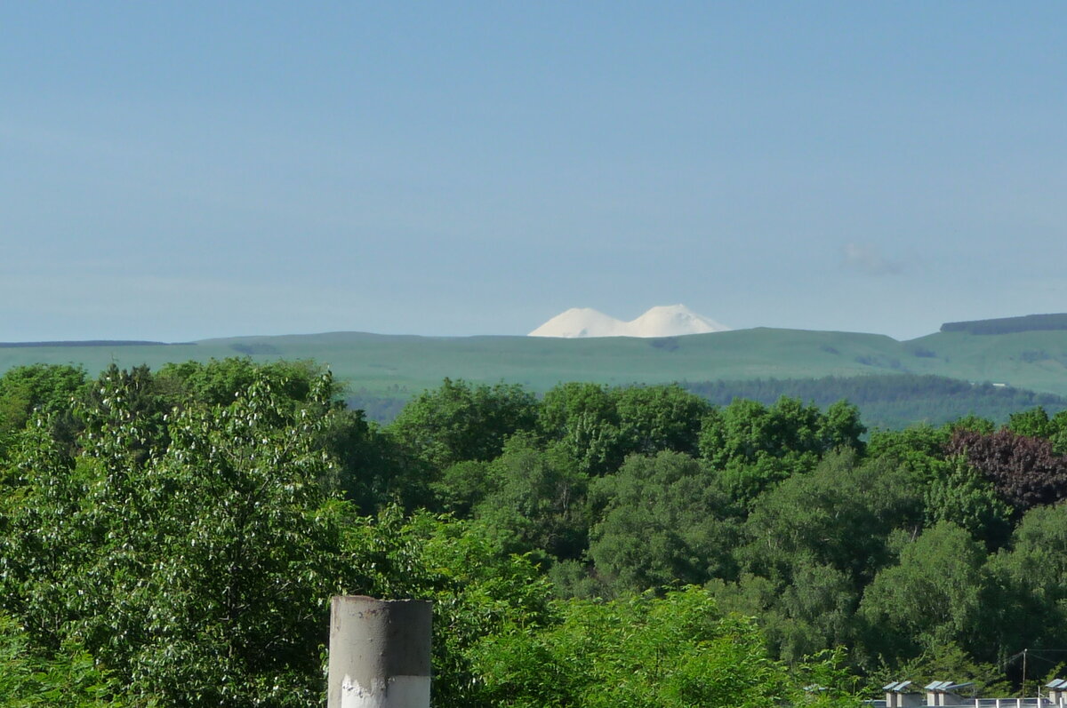 добавлено из альбома