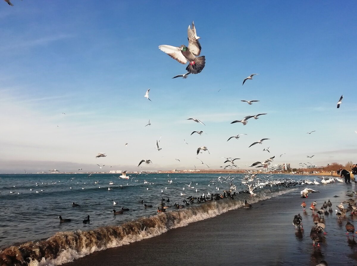 Какая погода в анапе в феврале