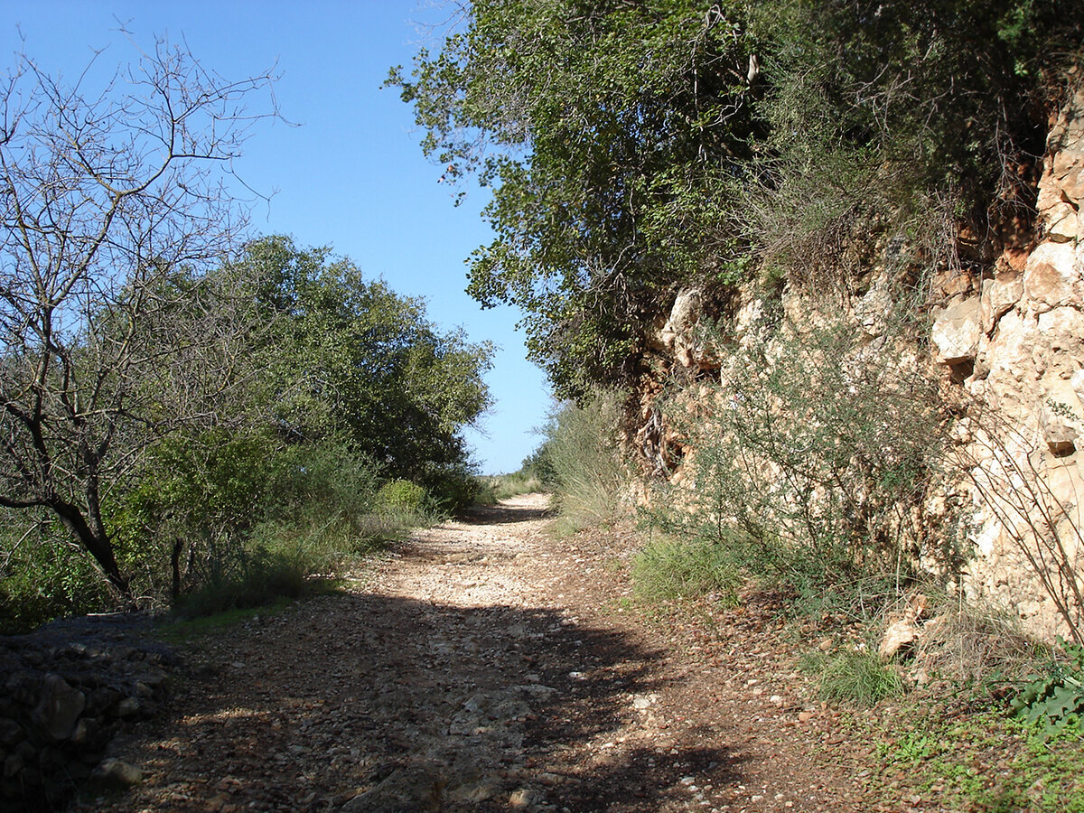 Дорога к руинам тевтонского замка Монфор. Январь, Израиль.