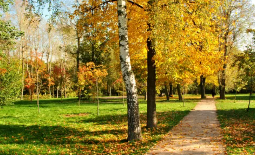 Картинка из сети интернет для иллюстрации