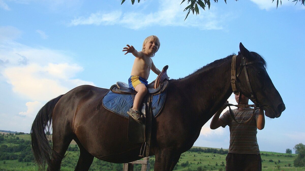 Первые шаги