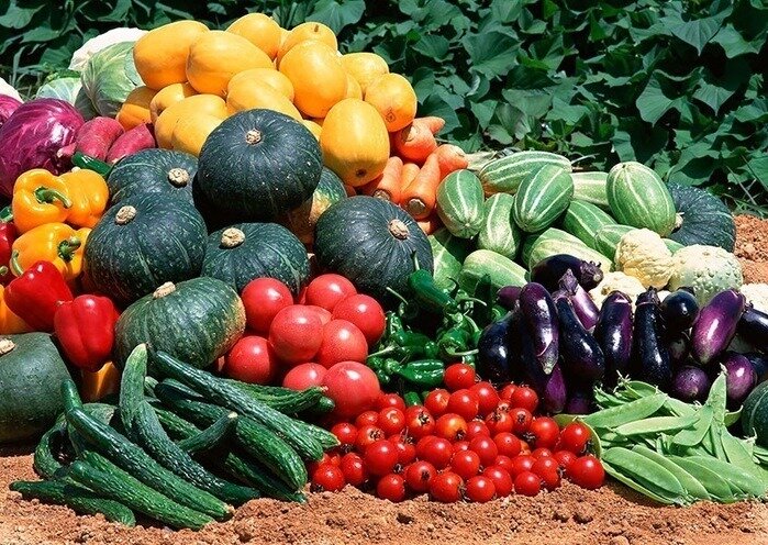 Использовано фото ресурса https://9dach.ru