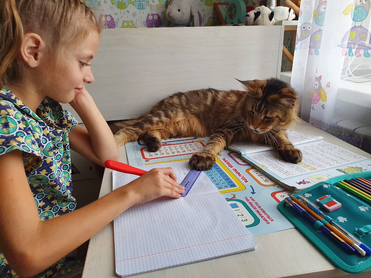 Без кота и жизнь не та🐈 у них настоящая любовь, кот как хваст ходит за Катюшей, всегда с ней. Уроки делаем даже когда болеем.