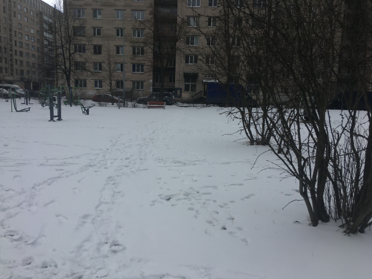 Снег снежок