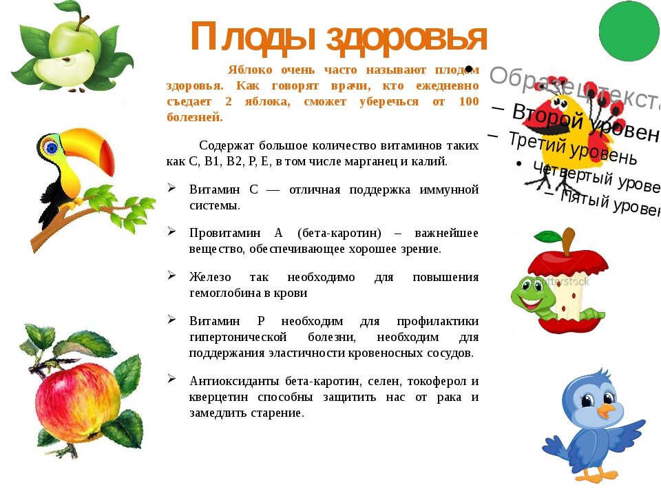 витамины содержащиеся в яблоке. чем полезно яблоко. полезные свойства яблок. как яблоки полезны. чем полезно яблоко для организма.