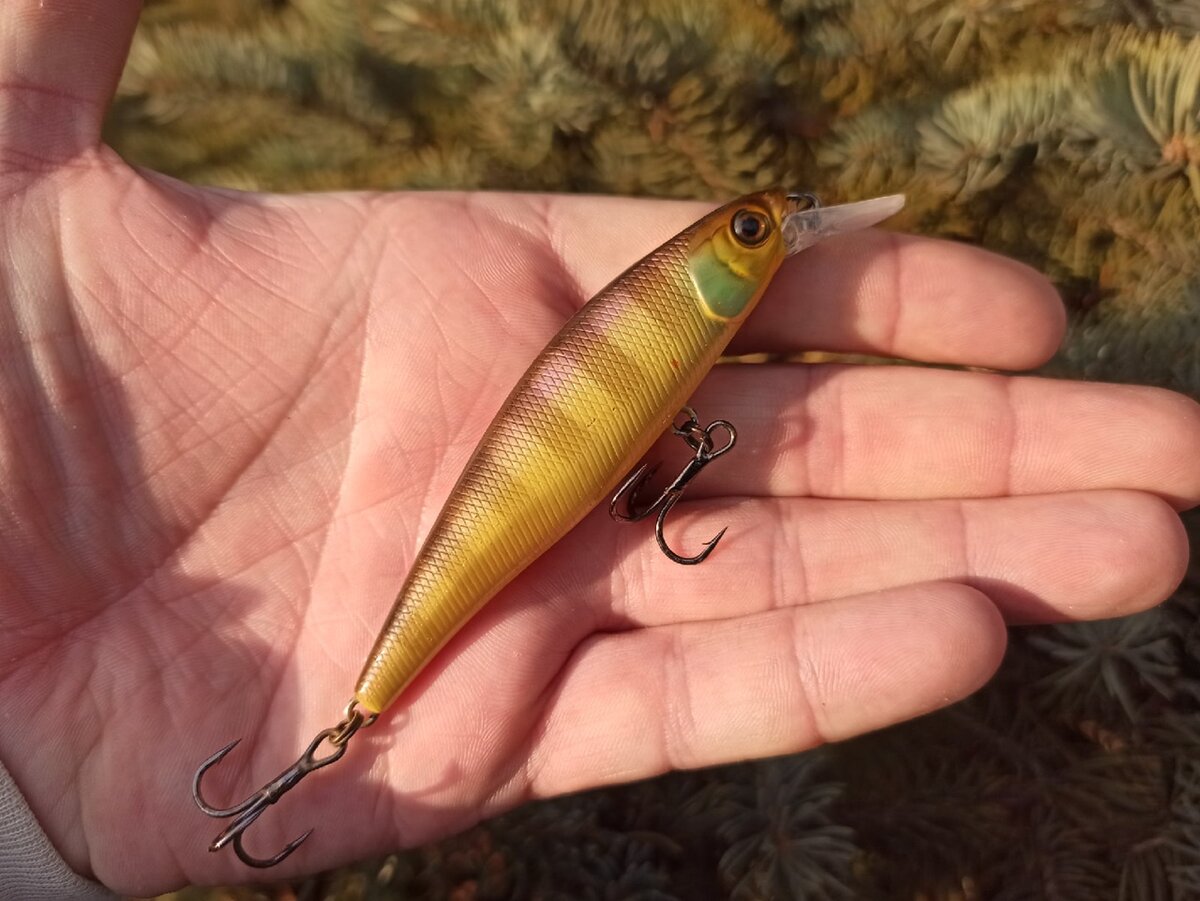 Мой новый Jackall Squad Minnow