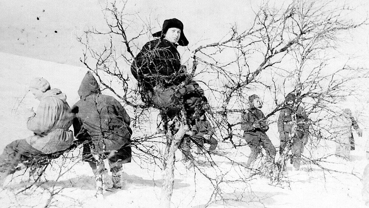 Перевал Дятлова. Отдых на ветвях.