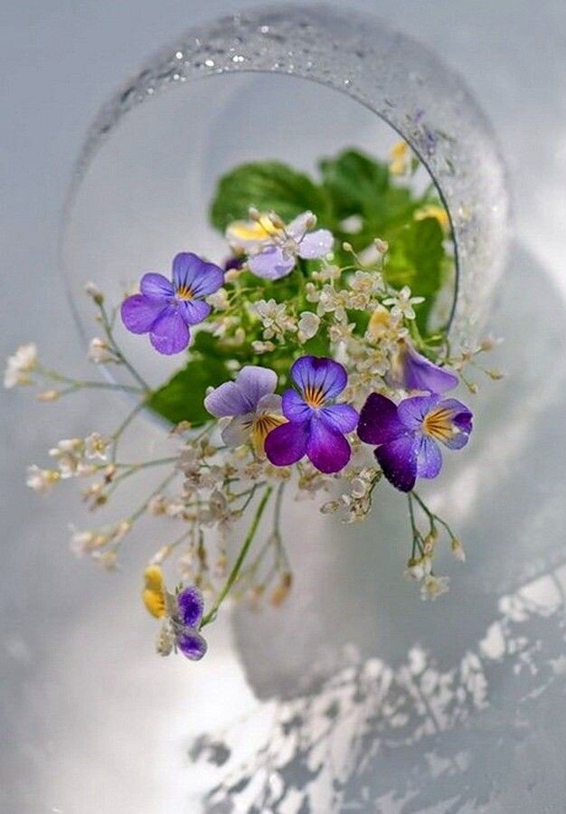 Фото из интернета