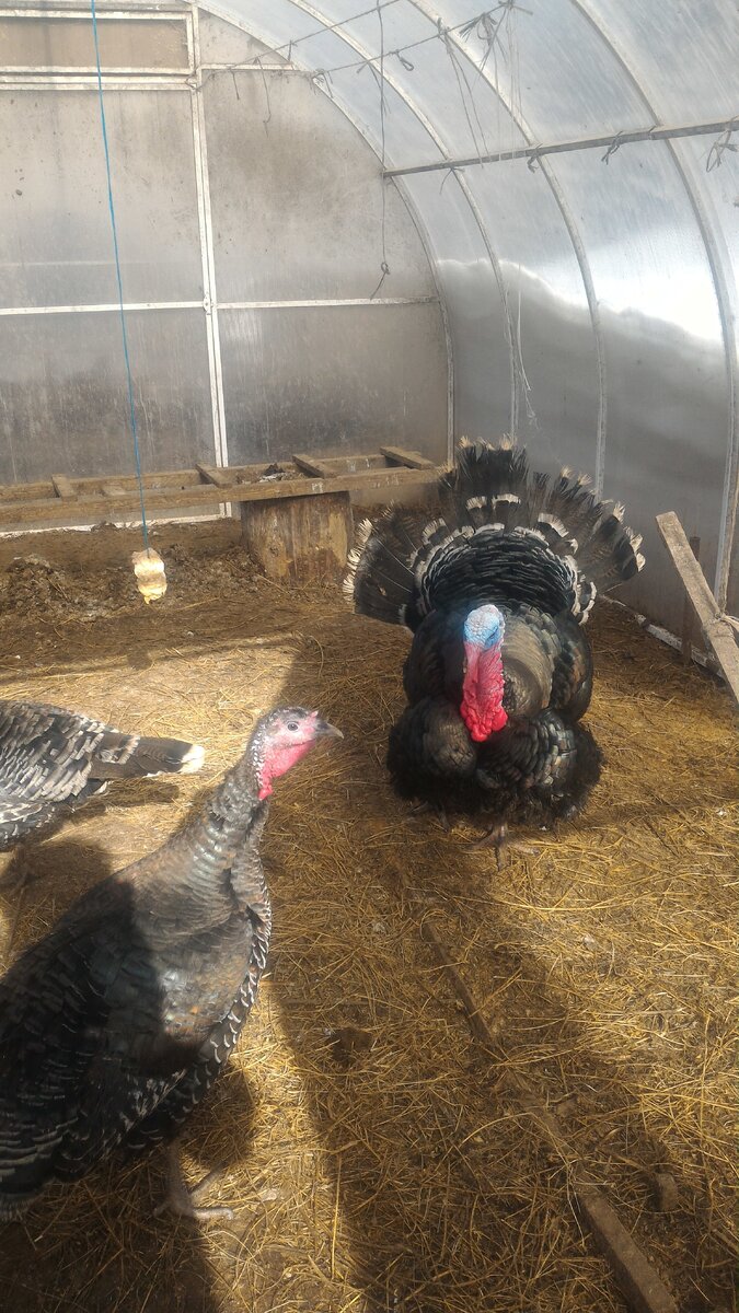 Фото из личного архива