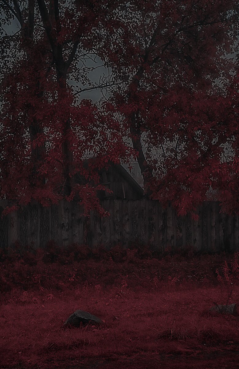 Фотограф: Юлия Щербакова (Julietta Shcher)