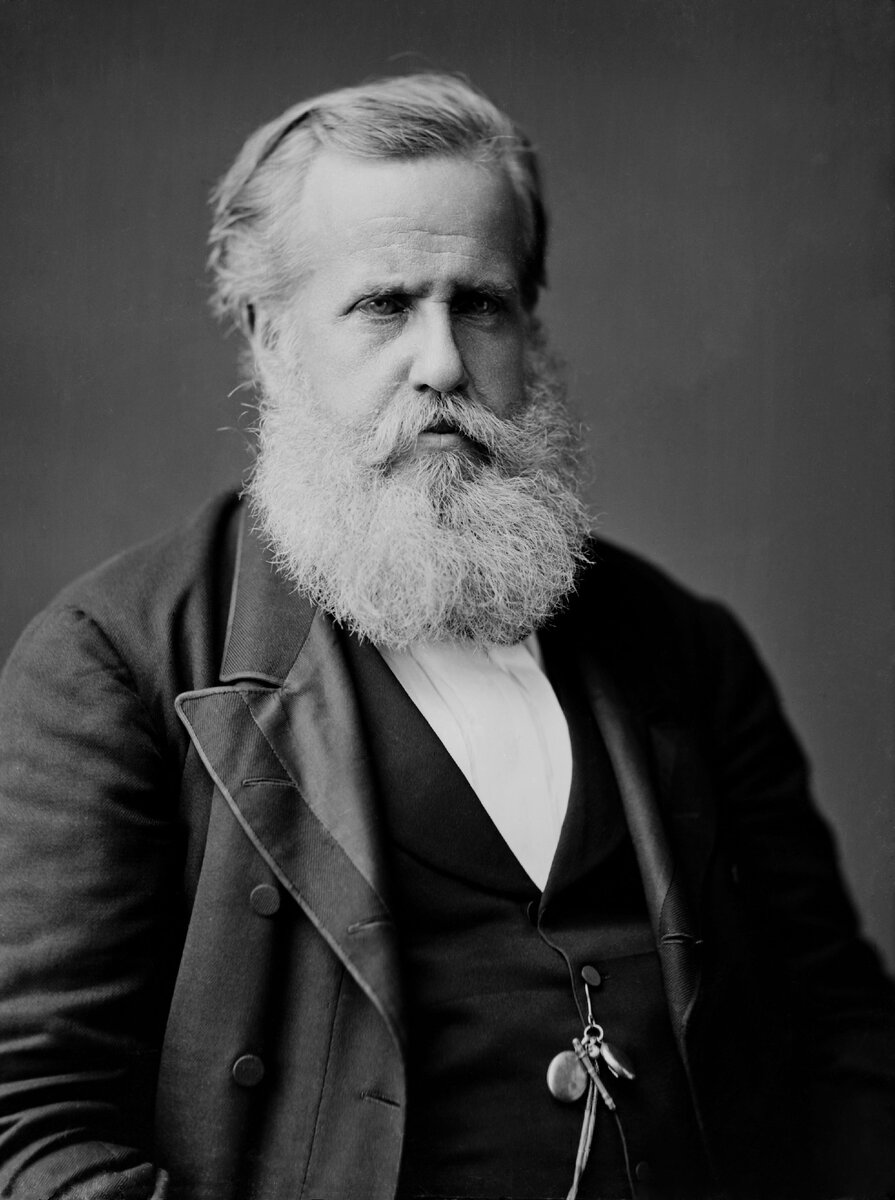 Педру II, 1876 г., общественное достояние 