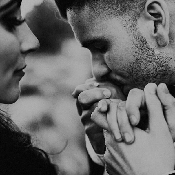 яндекс фото картинки