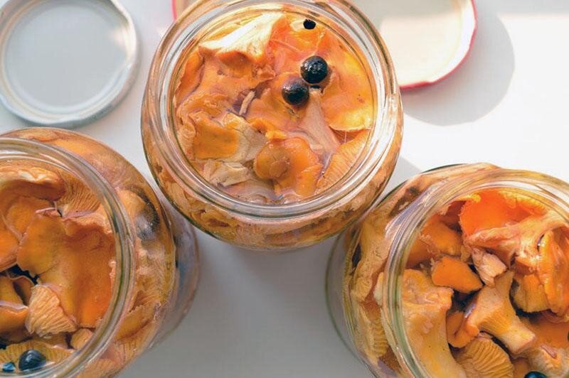 Фото из Яндекс коллекций.