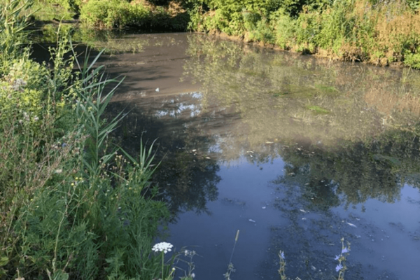 Источник фото: министерство природных ресурсов Ростовской области