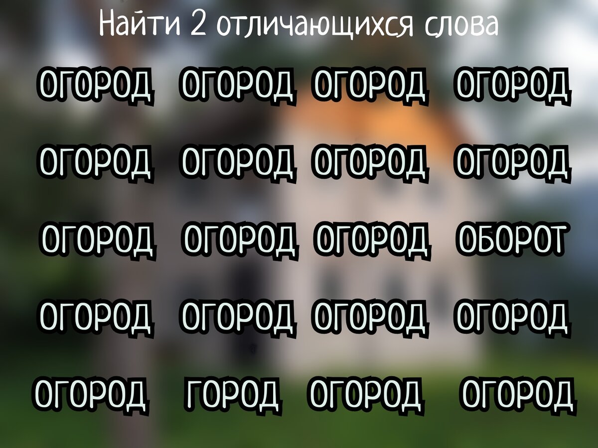 Летне-огородные задания на внимательность и смекалку. Сын справился за 5  минут и сказал, что никто его не обгонит | Заметки мамы-училки | Дзен