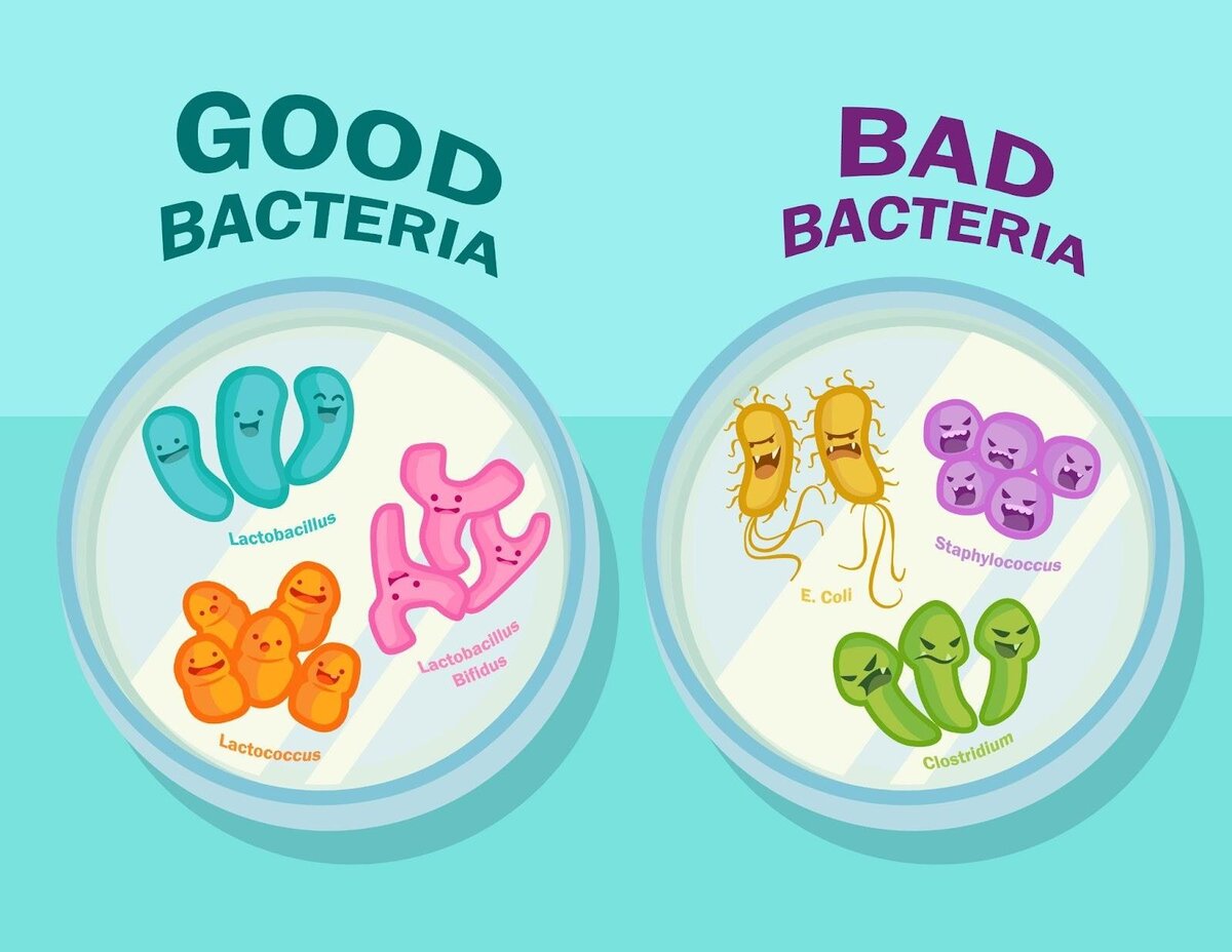 Бактерии в анализах: лечить или не лечить