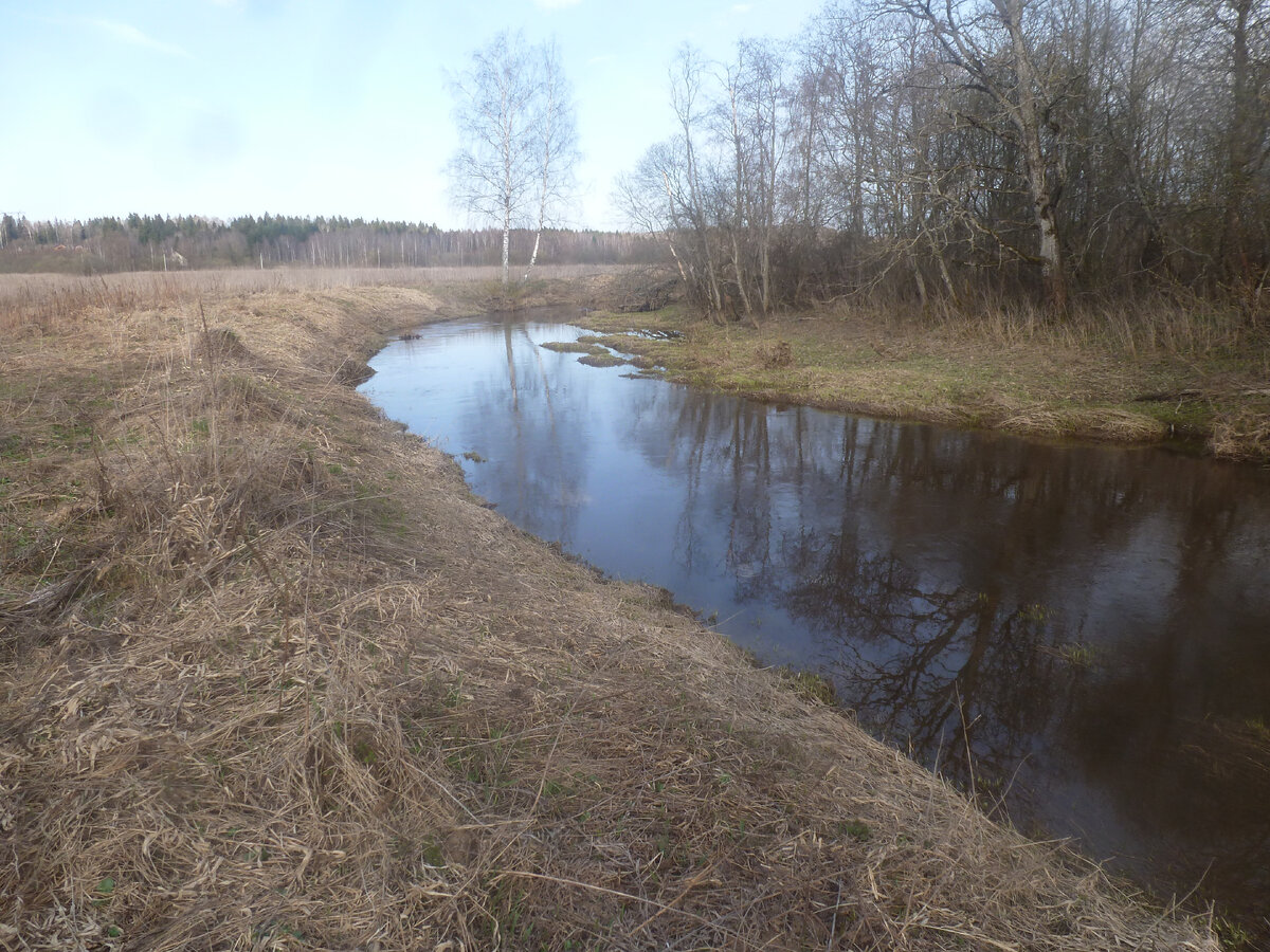 Фото наше. Для оформления)))