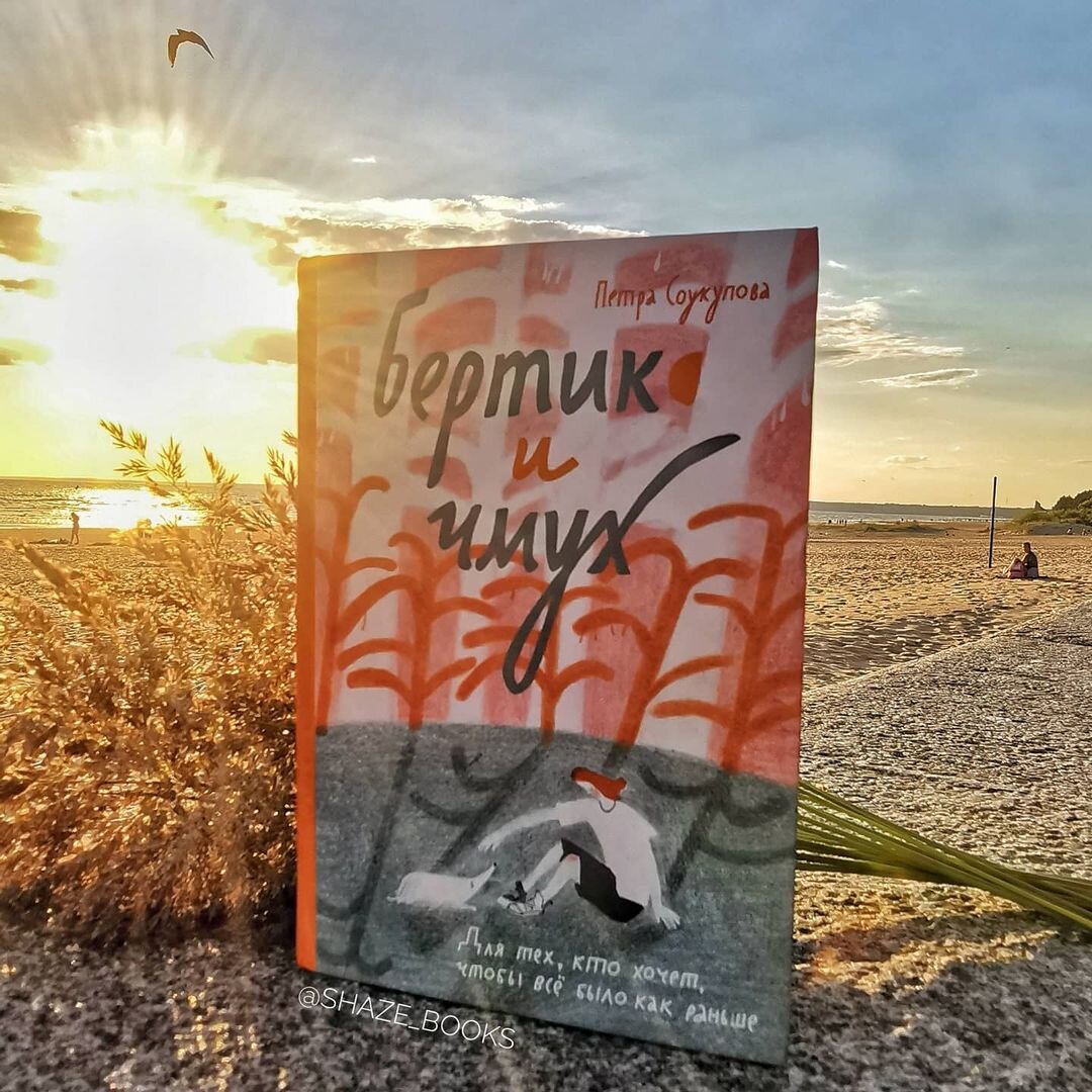 Фото из инстаграма @shaze_books