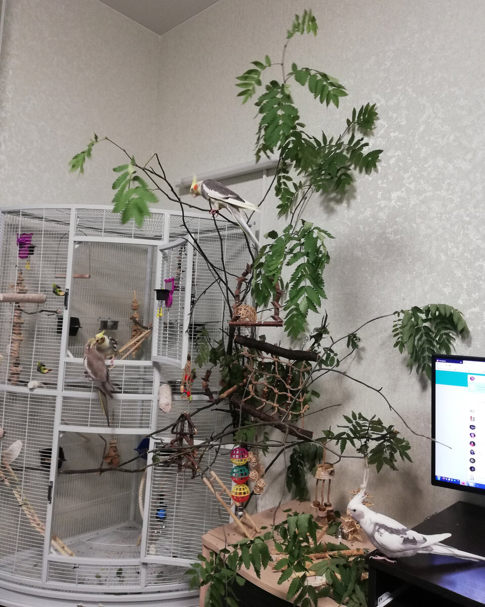 Старый стенд. Фото автора.