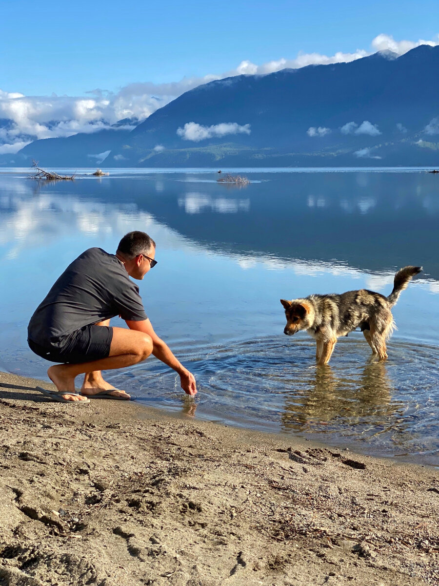 Щенячий восторг