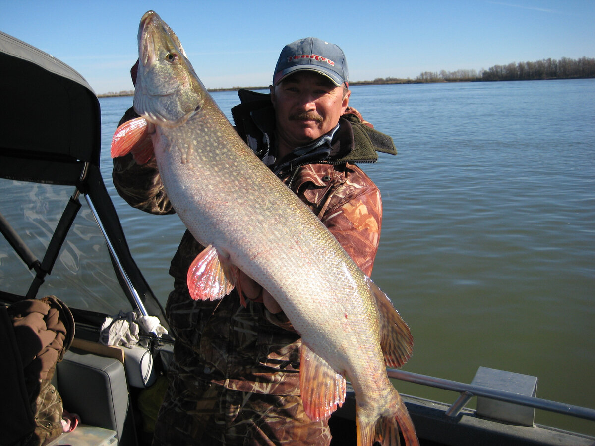 Оптимальным способом ловли на русле будет джиг. Фото автора Андрея Калачева.