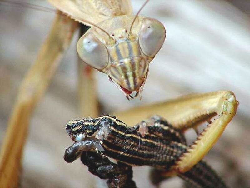 Источник фото: soundex.ru