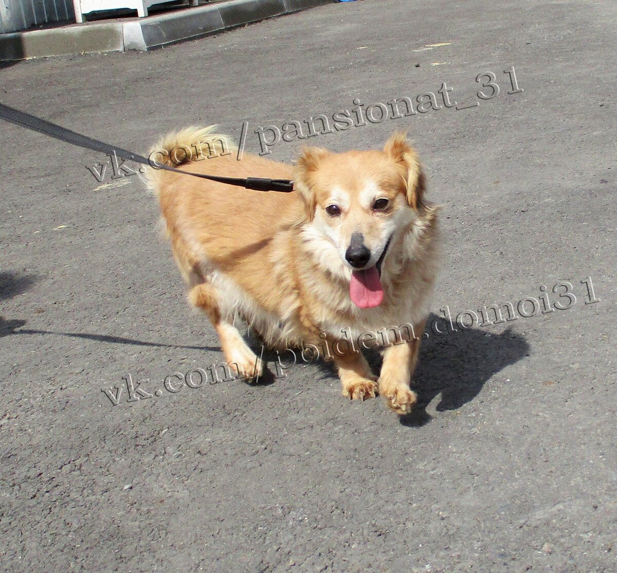 Вот такая милая Мила!