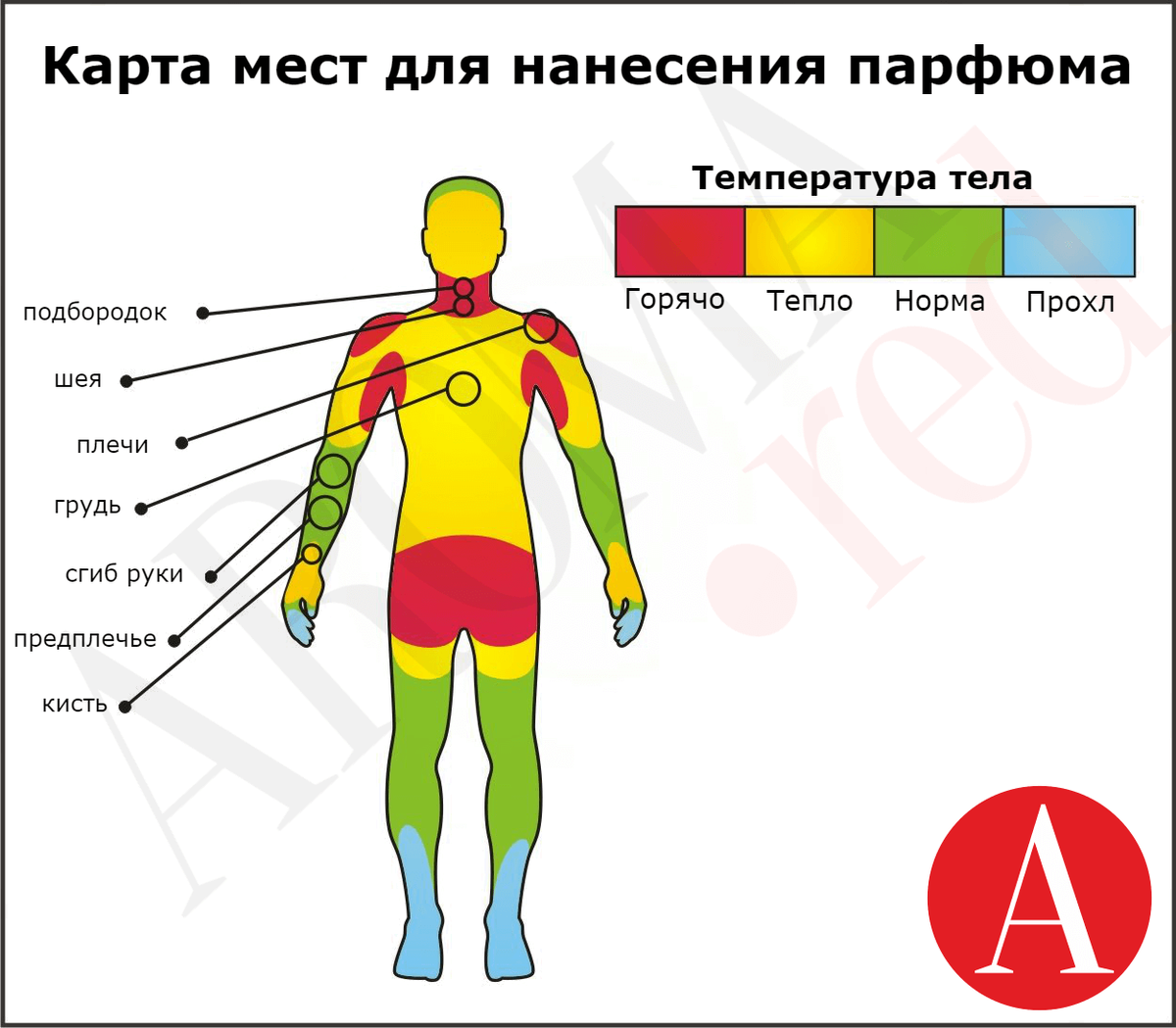 https://www.google.com/url?sa=i&url=https%3A%2F%2Faroma.red%2Fkuda-nanosit-parfum-muzhchinam&psig=AOvVaw1fRObg8h9IJlT1TqUeczJV&ust=1634410113495000&source=images&cd=vfe&ved=0CAsQjRxqFwoTCLCoyaOKzfMCFQAAAAAdAAAAABAD