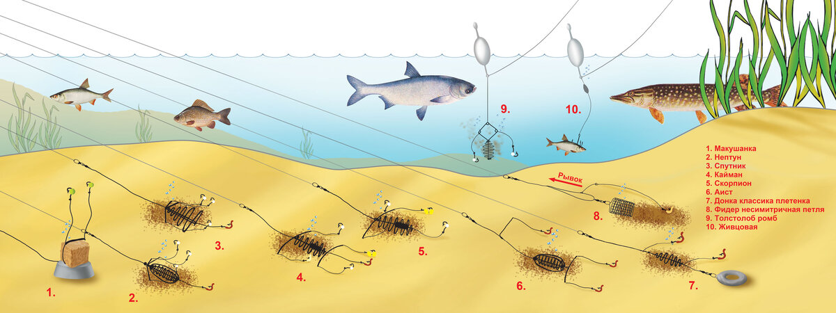 Фото с сайта: https://fishingday.org