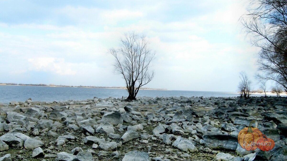 Наша река очень красивая и разная.   (Листайте ➡ )