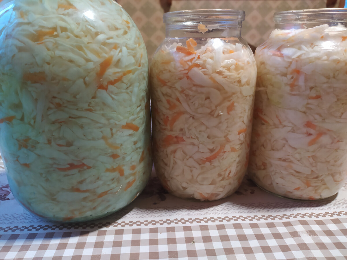 Квашеная капуста каждый день
