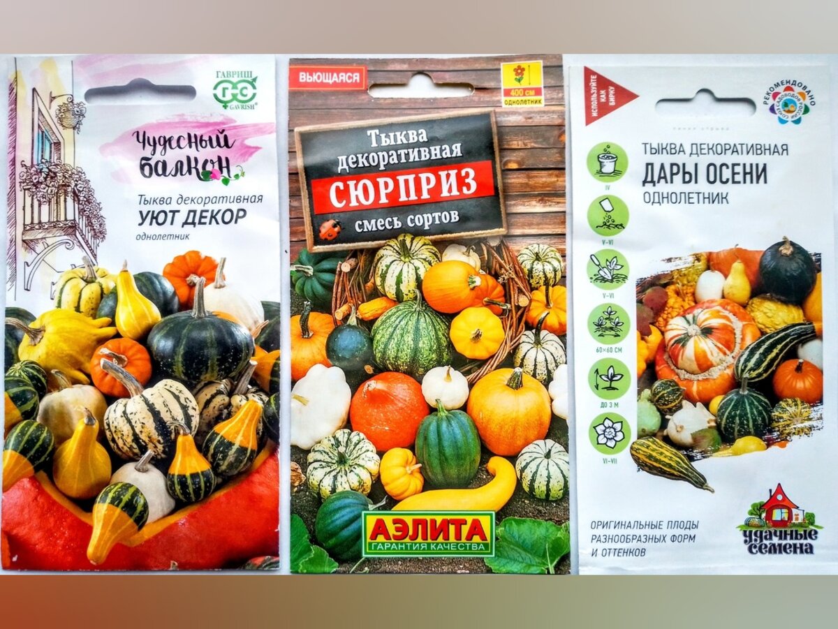 Семена декоративных тыкв смесь сортов "Уют декор", серия Чудесный балкон, Гавриш, 0,5 гр (это всего 6 семечек),  "Сюрприз" Аэлита, 1 гр, "Дары осени" серия Удачные семена, Гавриш, 0,5 гр
