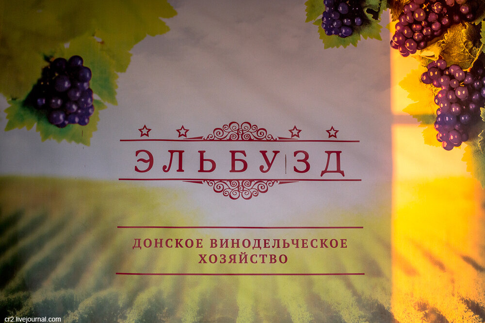 Винодельческое хозяйство "Эльбузд". Ростовская область. Фото автора статьи 