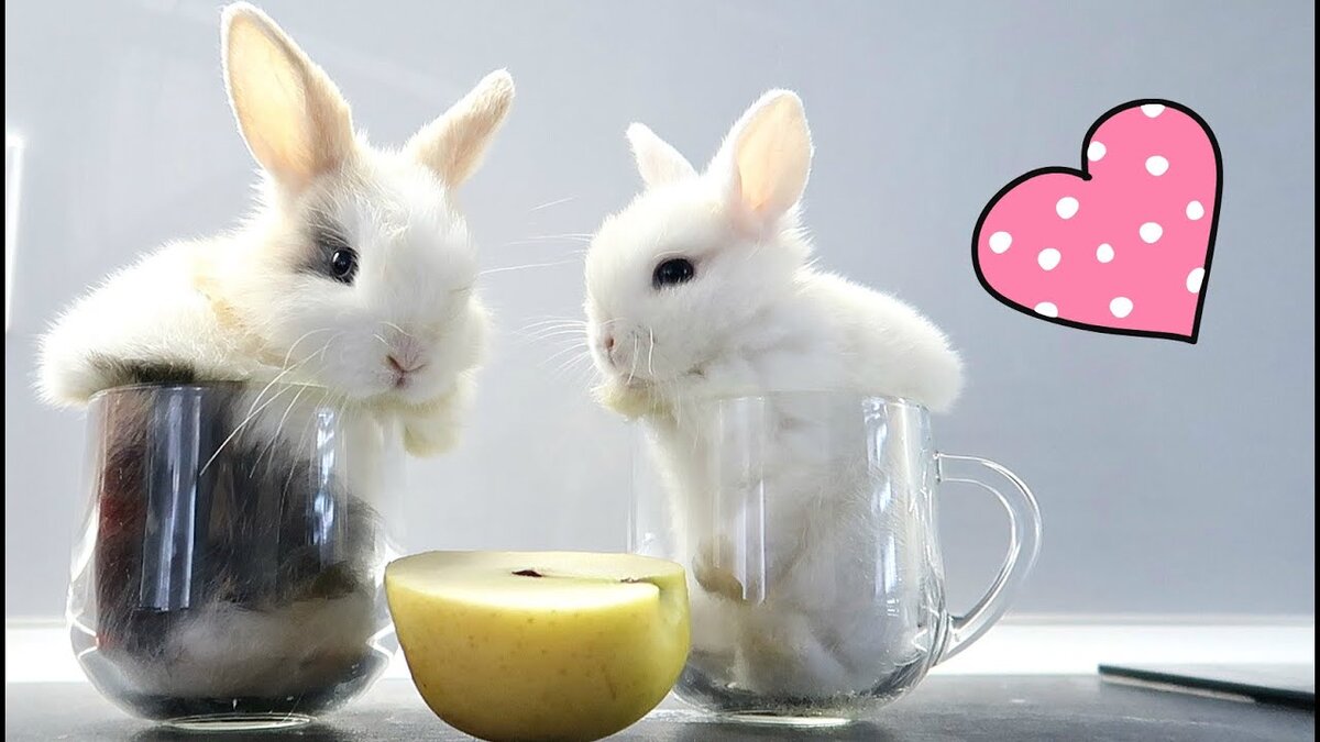 С любовью! Алена Я. Только добрые сказки для взрослых девочек!