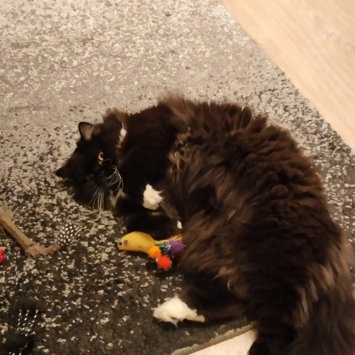 "Игрушки продать не дам, даже не проси"