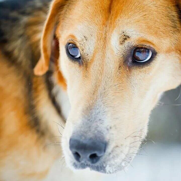 Фото из свободного доступа