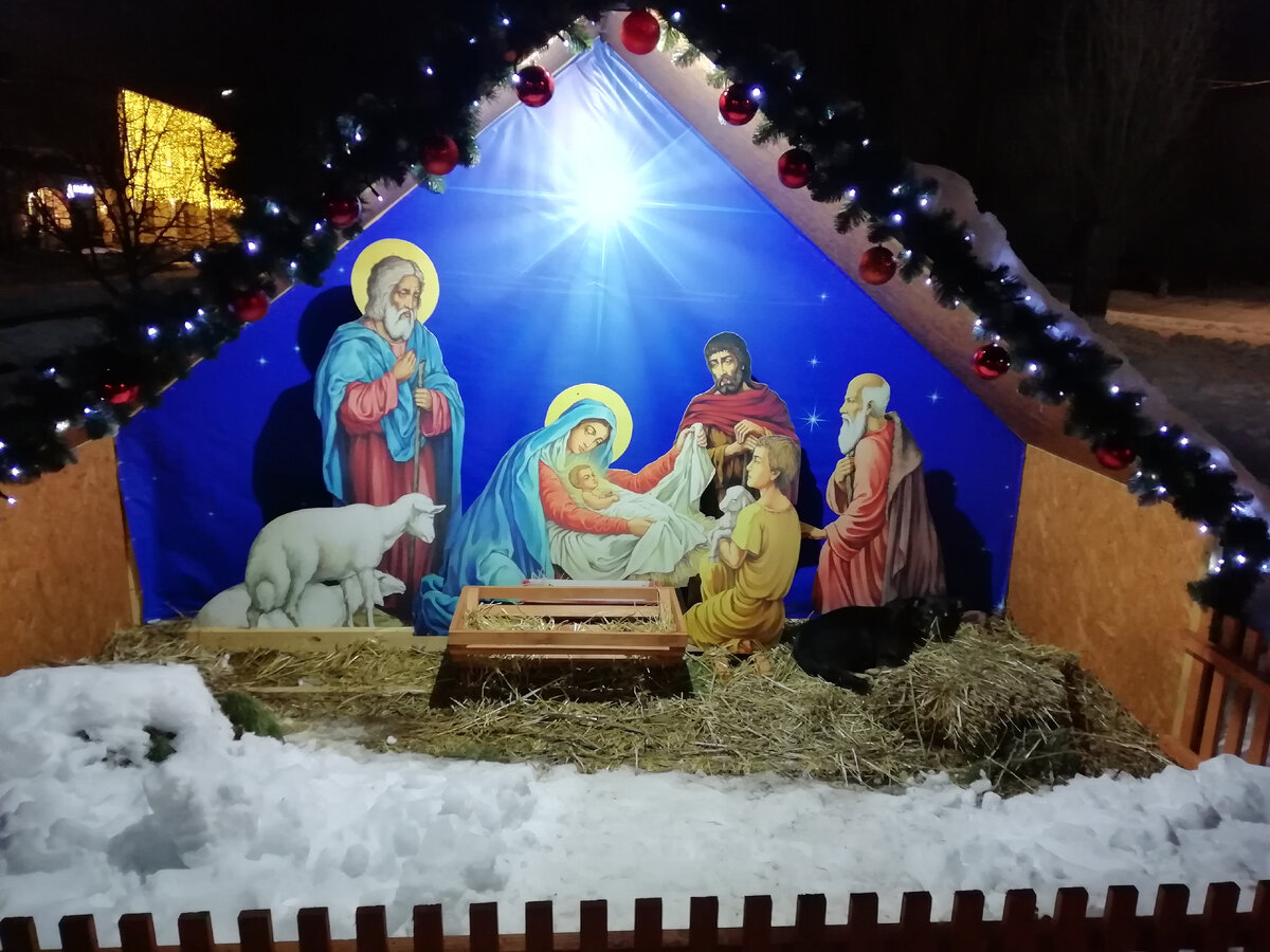 Справа приютилась бездомная животинка