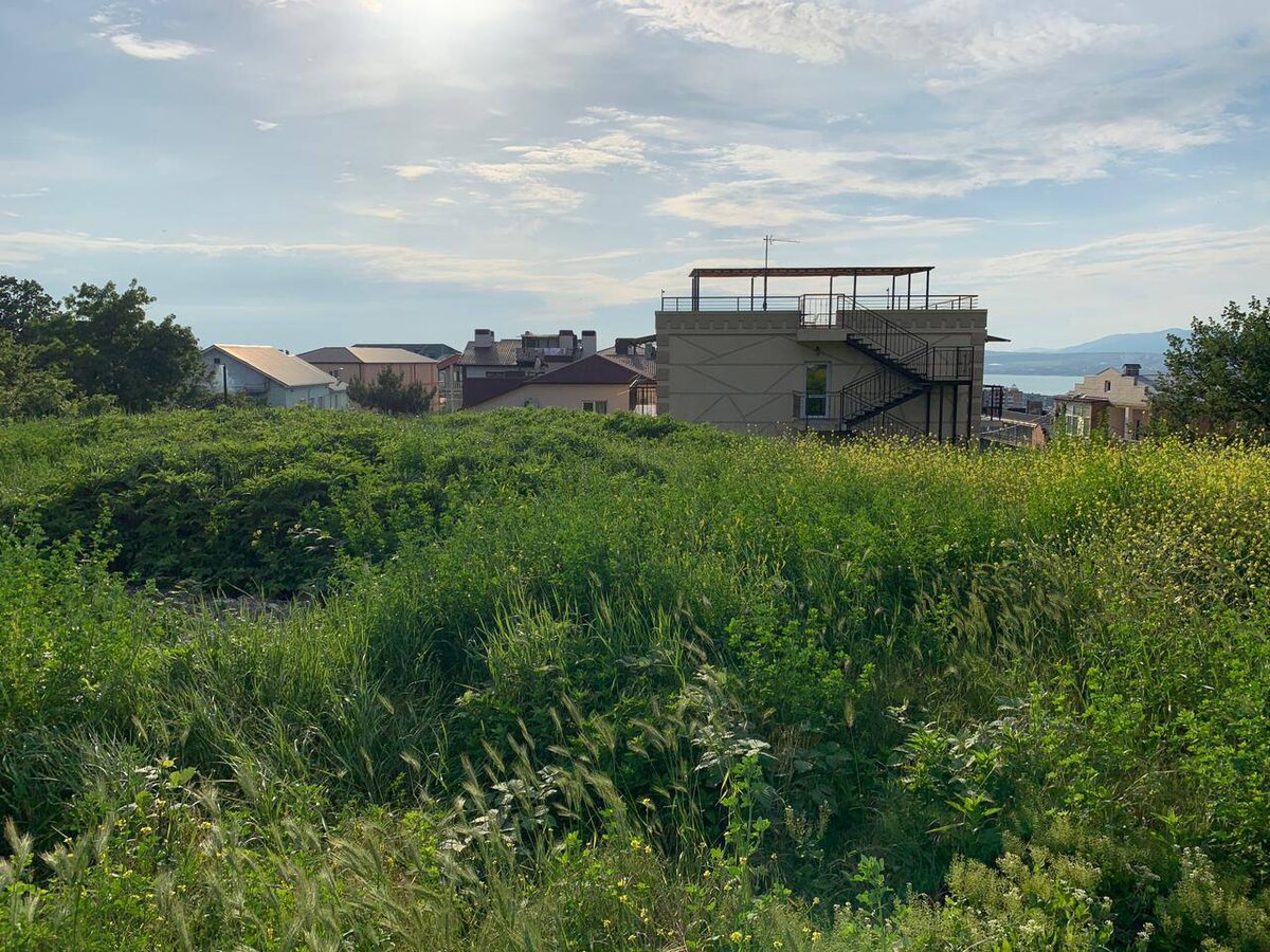 Как продать земельный участок? Разбираем ошибки и советы при продаже участков.