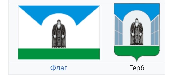 Флаг и герб деревни Жабны 
