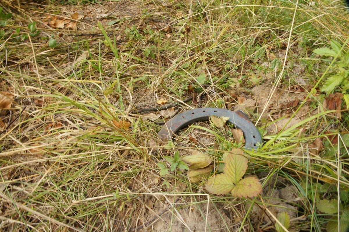 Притаилась)