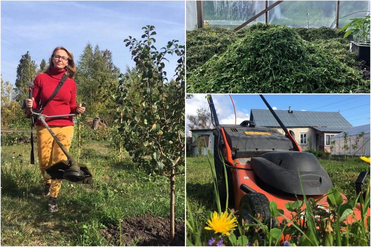 газонокосильщица Татьяна