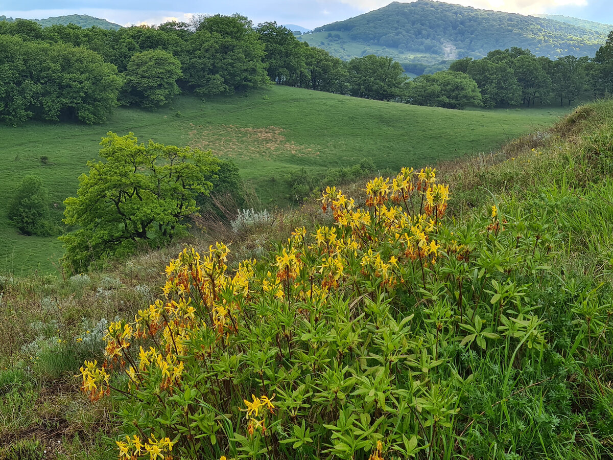 География наизнанку. Тест: "Песенно-географический марафон" | За ...
