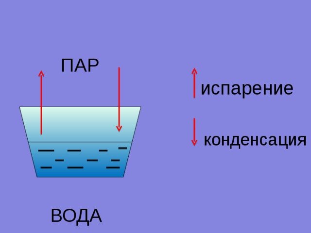 Влажность в доме: как влияет на микроклимат и как бороться с недостатками