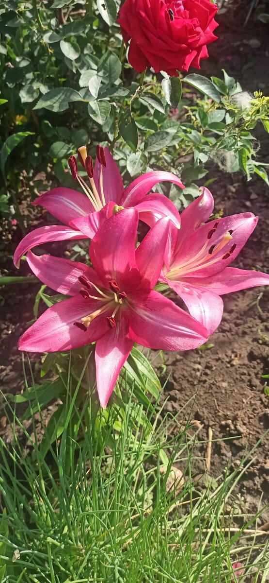 ...и так тоже. 