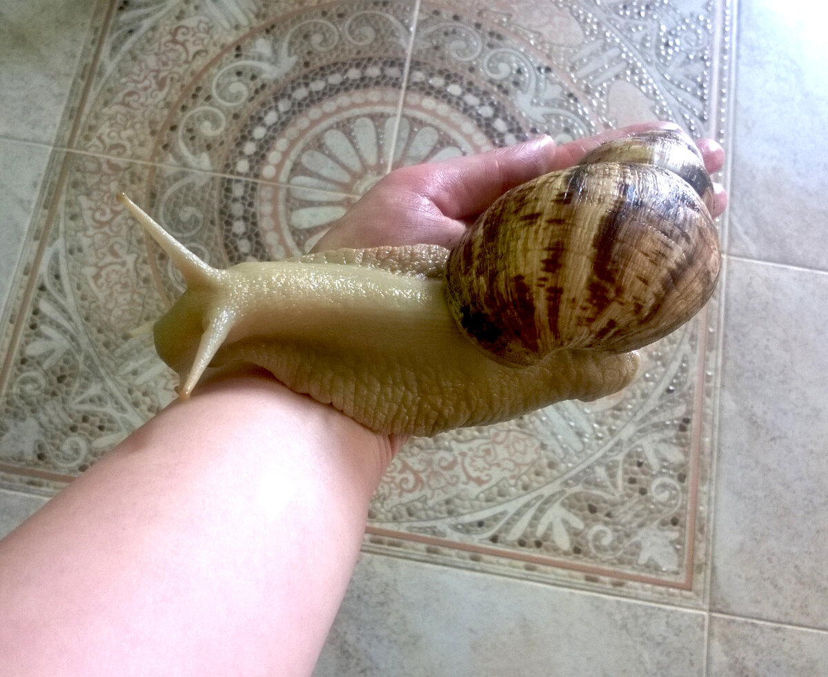 Размерчики)))