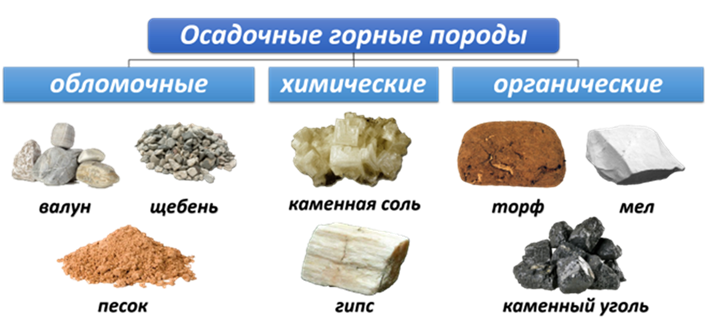 Рассмотрите образцы горных пород и заполните таблицу кварц каменная соль каменный уголь мрамор мел