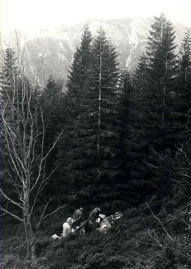 Фото с места преступления